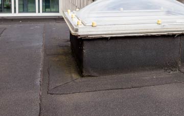 disadvantages of Riverton flat roofs