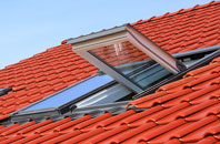Riverton roof window